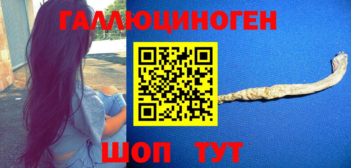 Галлюциногенные грибы Cubensis Россия