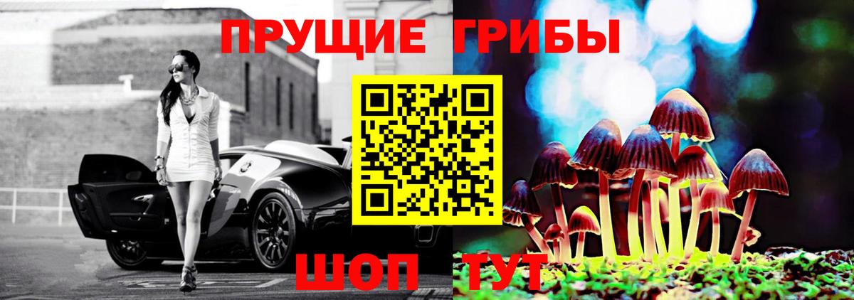 Россия  где купить наркоту  Вход с VPN  Псилоцибиновые грибы ЛСД 