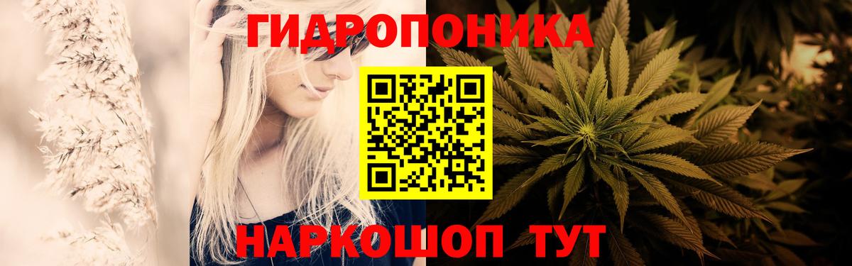 Конопля AK-47 Россия